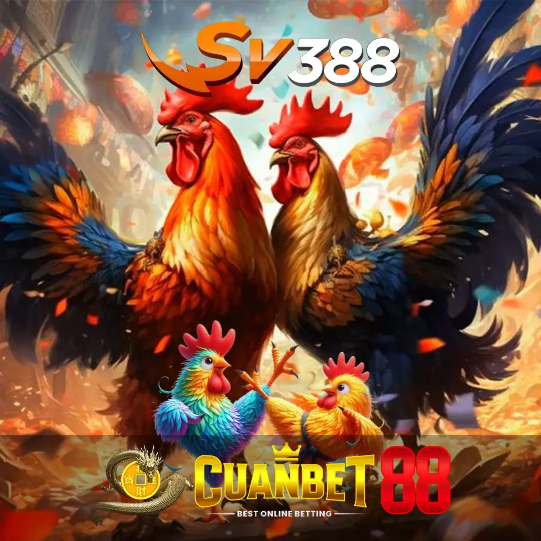 SV388 🏅 Agen Situs Sabung Ayam Online Terpercaya Resmi No 1 Arena 24 Jam Di Asia